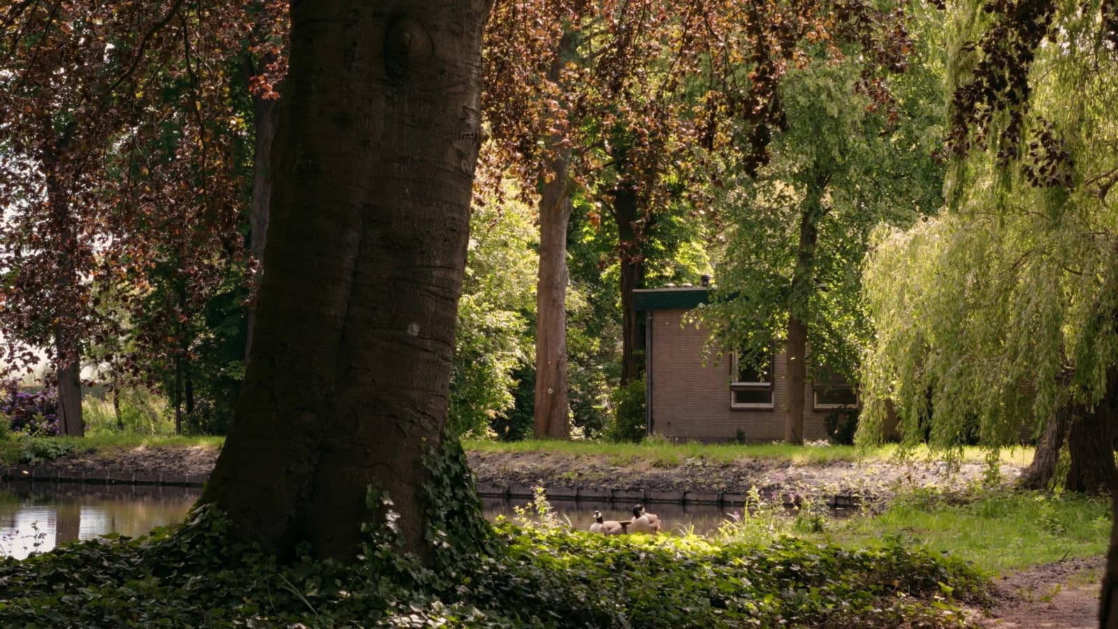 Het paviljoen op Buitenplaats De Tempel